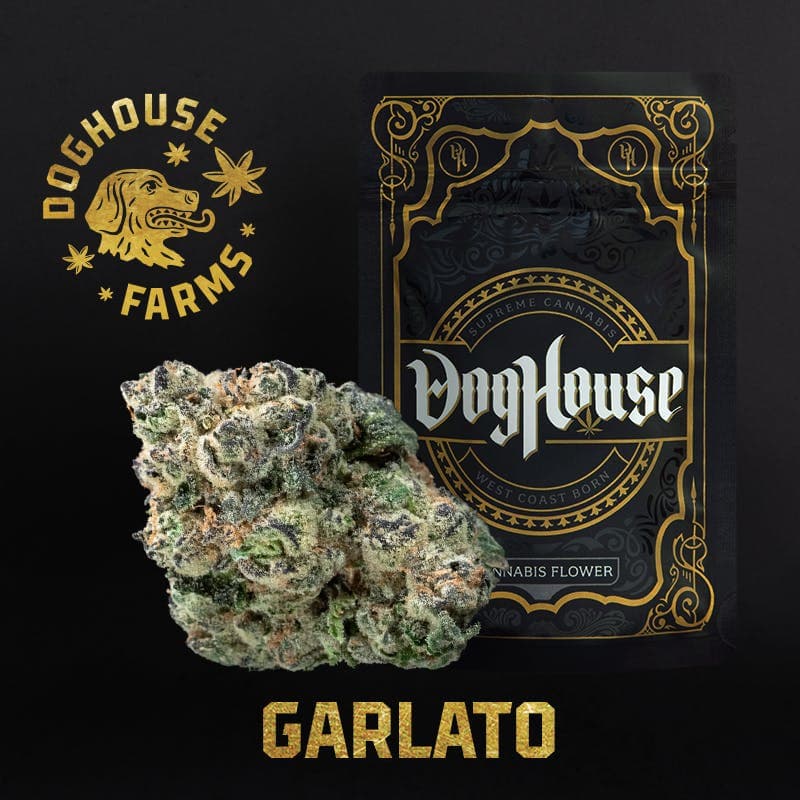 Garlato - 3.5g Mylar Bag - Indica