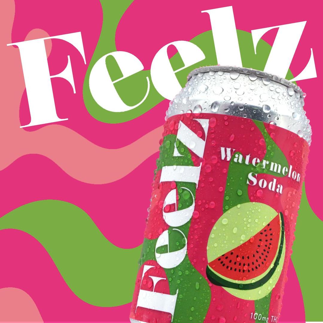 100mg Watermelon Infused Soda Feelz