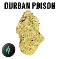 Foli /Durban Poison