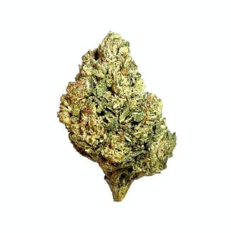 Exotix - Sour Diesel (H) - 14g