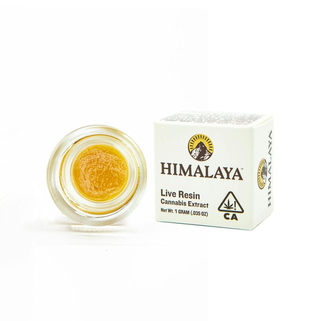 Fruit Cocktail (Live Resin Concentrate) - 1G