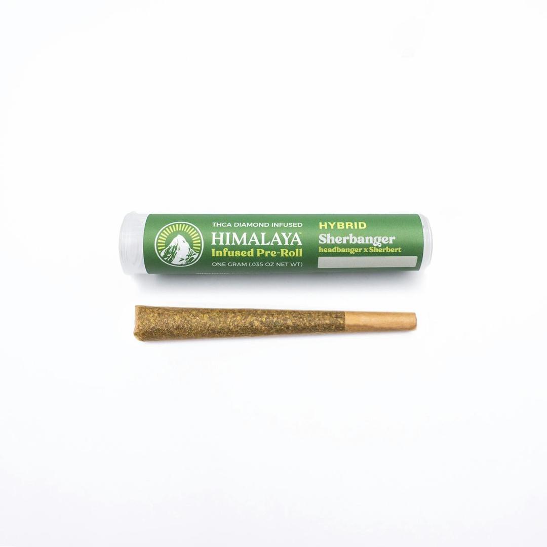 Sherbanger - Infused Pre-Roll - 1G