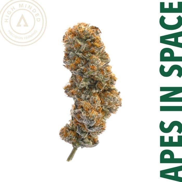Apes In Space