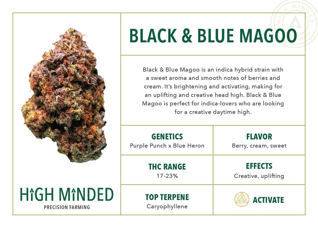 Black & Blue Magoo
