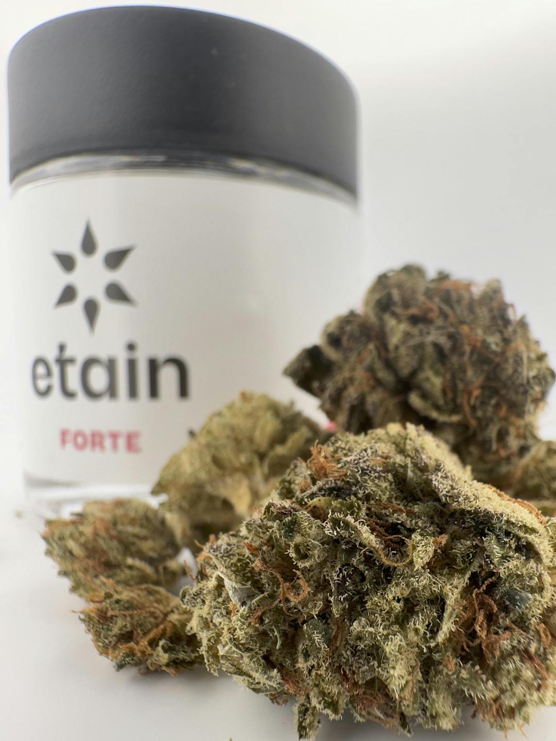 Forte Whole Flower - Grandaddy Black (GDB)