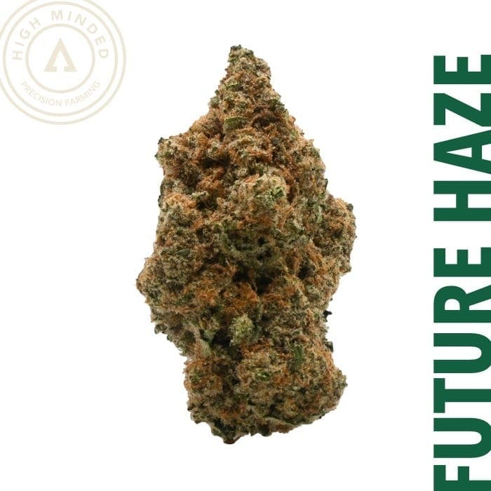 Future Haze