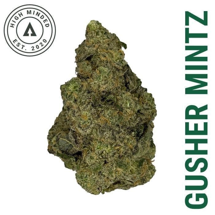 Gusher Mintz