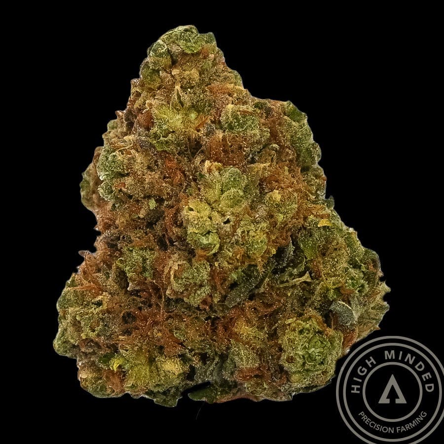 Stardawg