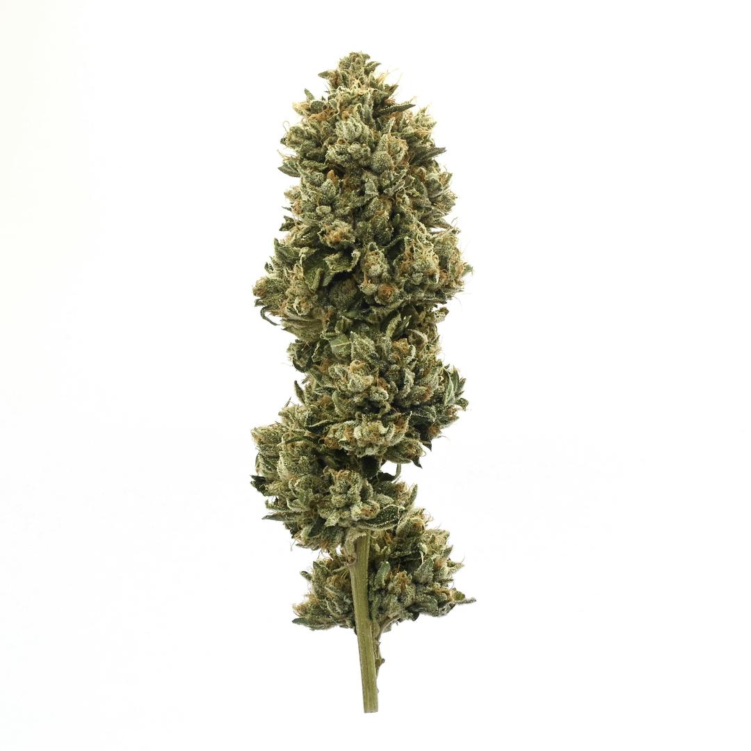 Triangle Kush