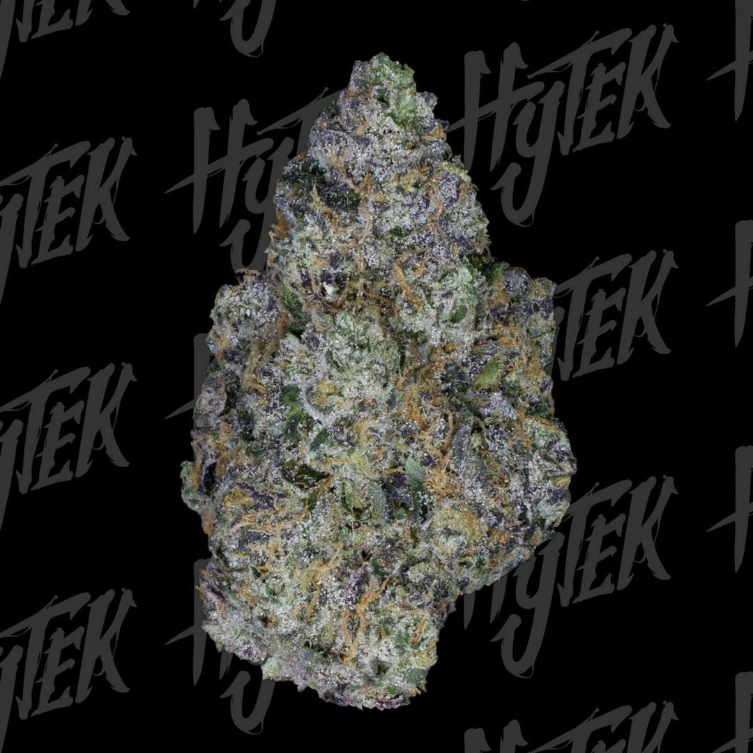 HYTEK | SHERB BANGER | BULK DELI FLOWER