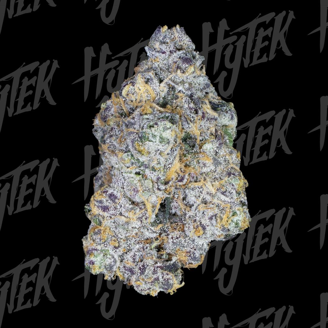 HYTEK | SNOWMAN | BULK DELI FLOWER