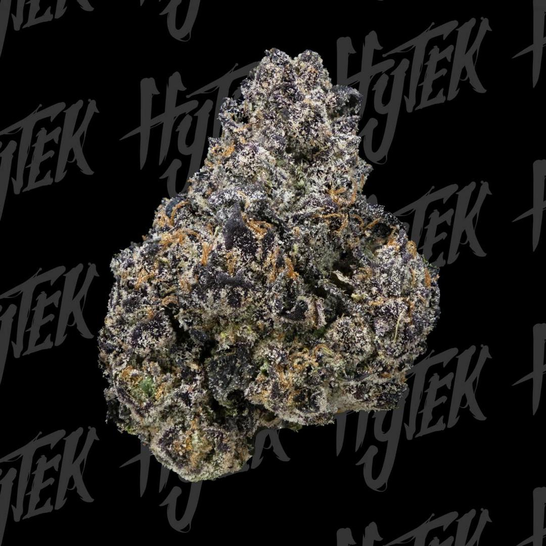 Hytek Sunset Sherbert Bulk Deli Flower