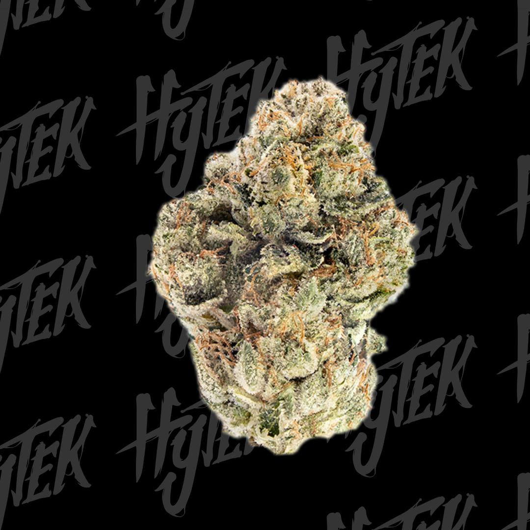 HYTEK | MOTORBREATH 15 | BULK DELI FLOWER