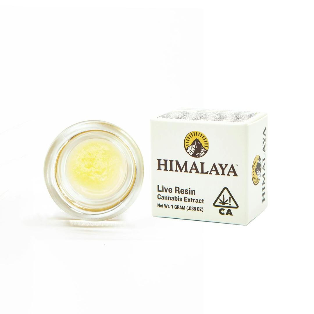 Garlic Grove (Live Resin Concentrate) - 1G