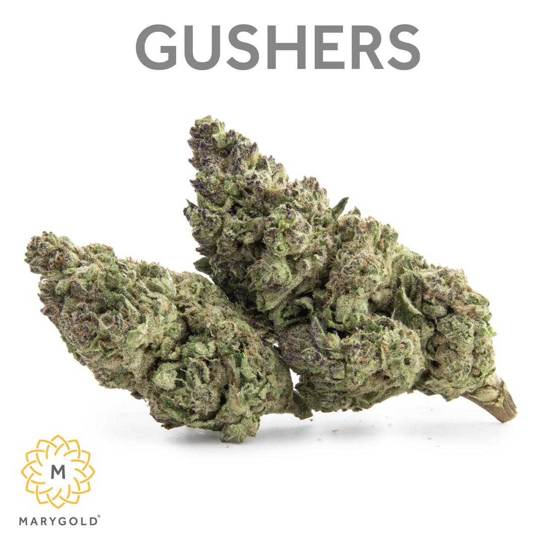 Gushers 3.5g (31% THC Indica)