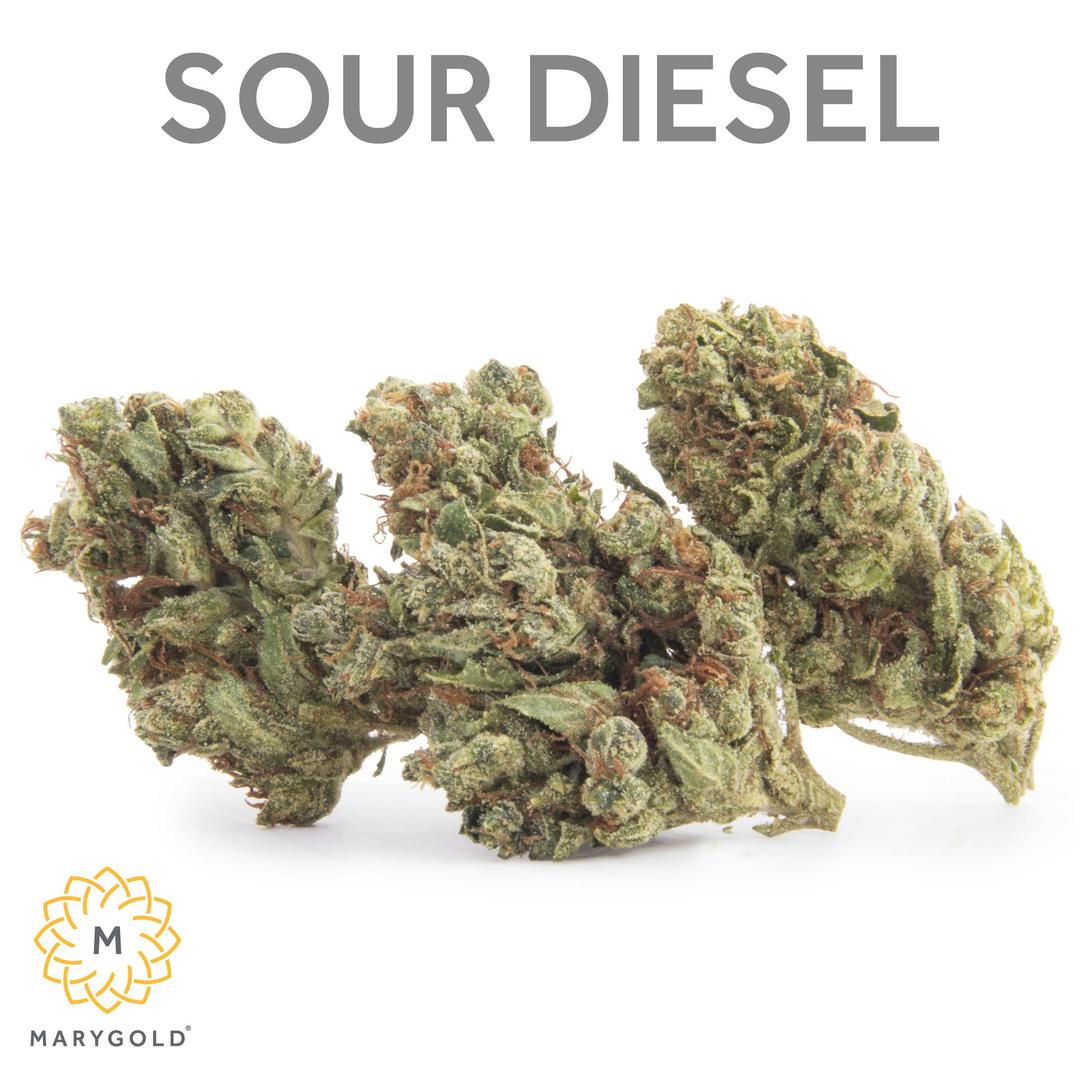 Sour Diesel 3.5g (27% THC Sativa)