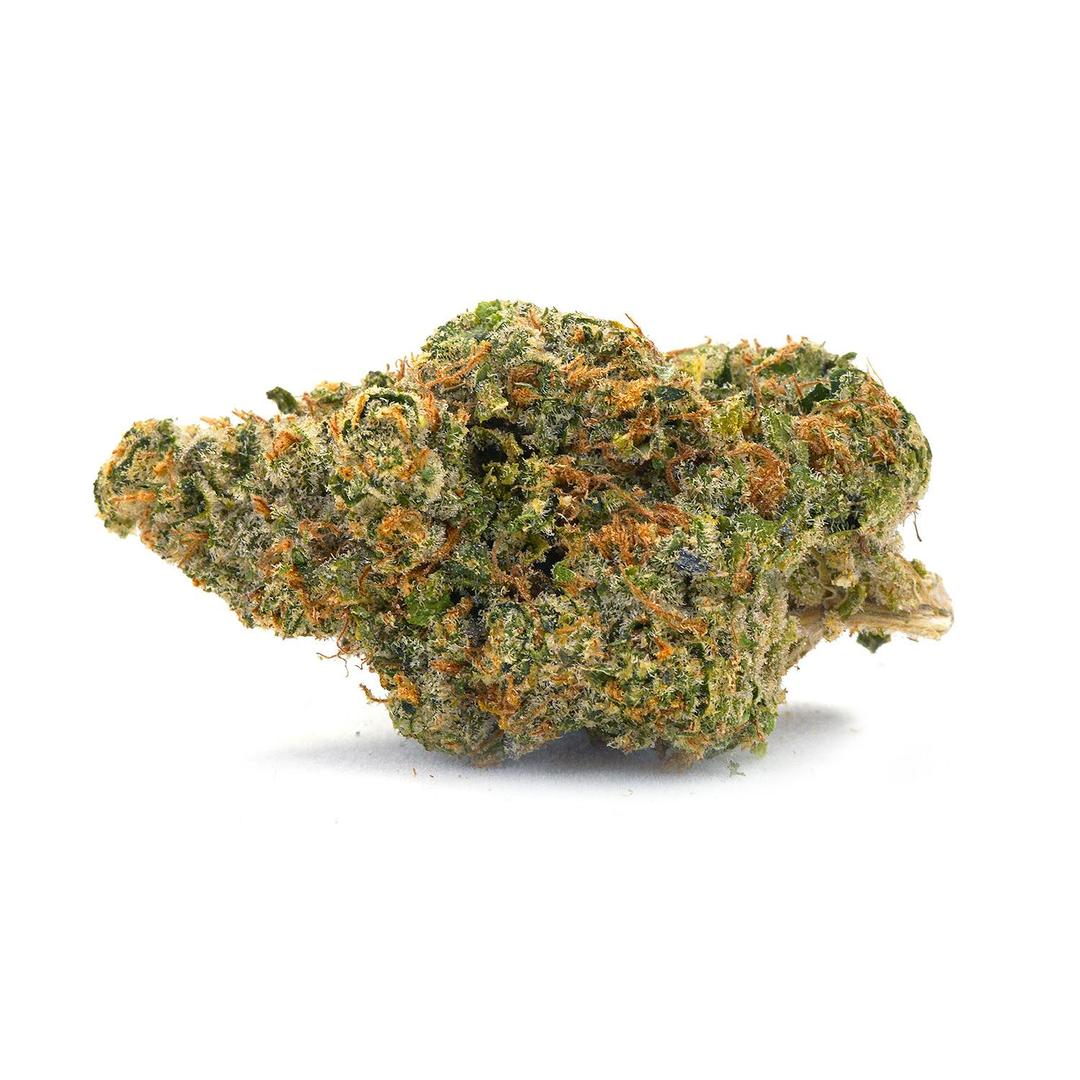 Lemon Tree | Greenhouse 3.5g