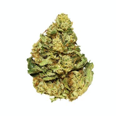 Exclusive - Ron Burgundy (H) - 28g