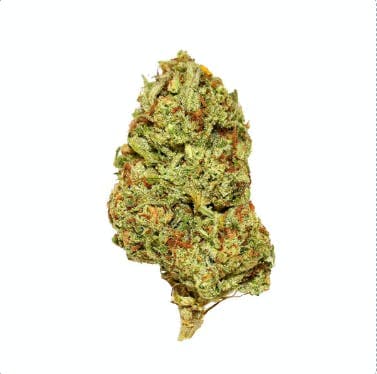 Black - Key Lime Pie (H) - 14g