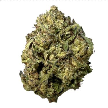 Sierra Hills - Tropical Gelato (H) - 28g