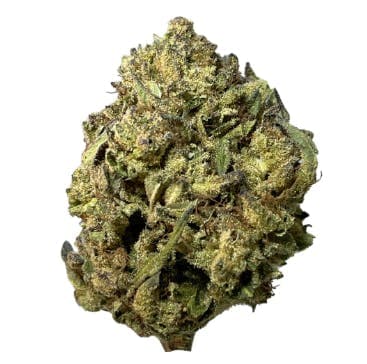Sierra Hills - Tropical Gelato (H) - 28g