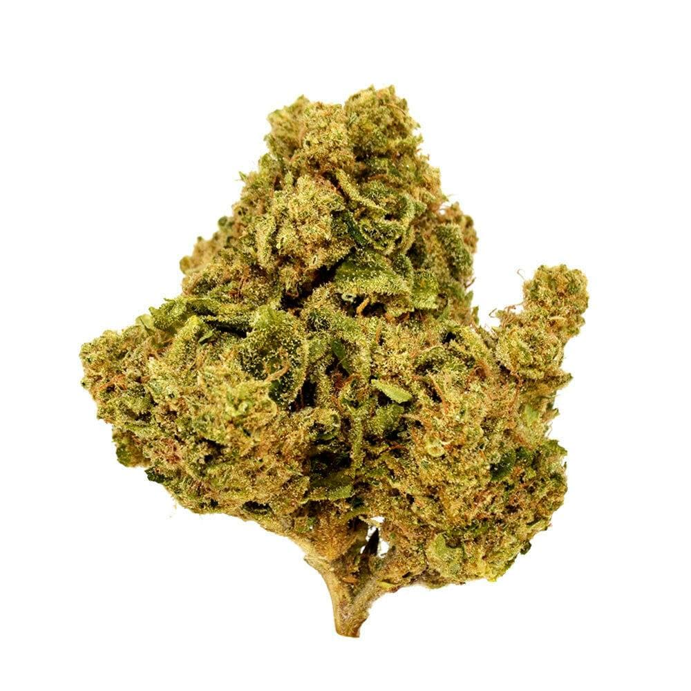 Black - Town Berries (H) - 14g