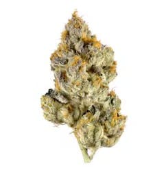 Violet Fog 14g