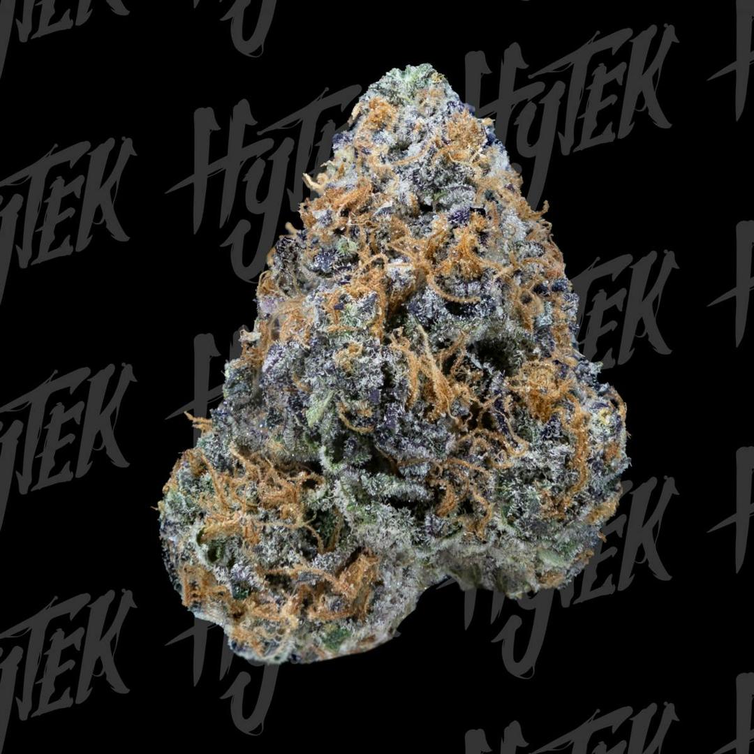 Hytek Lemon Cherry Z Bulk Deli Flower