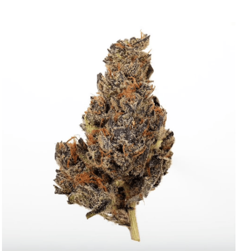Sherb Cream Pie