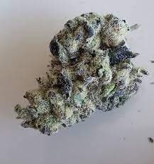 LA Pop Rocks (TKB X Z ANIMAL) - 3.5g Flower