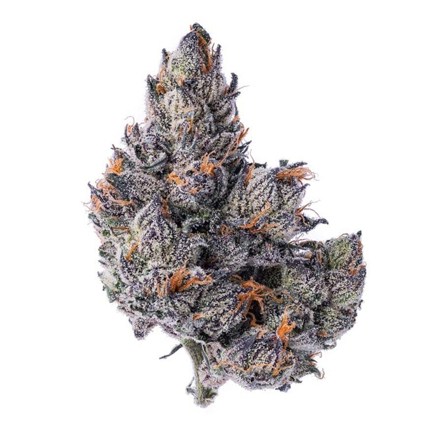 Blue Chip - White Runtz