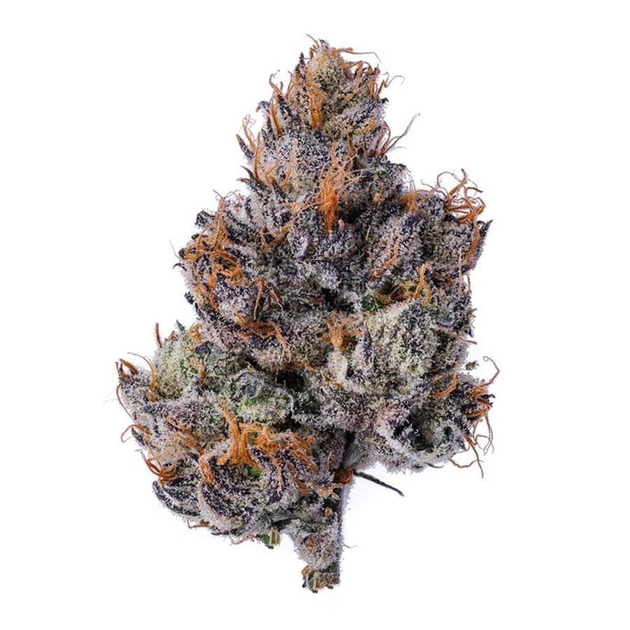 Blue Chip - Gelato 47