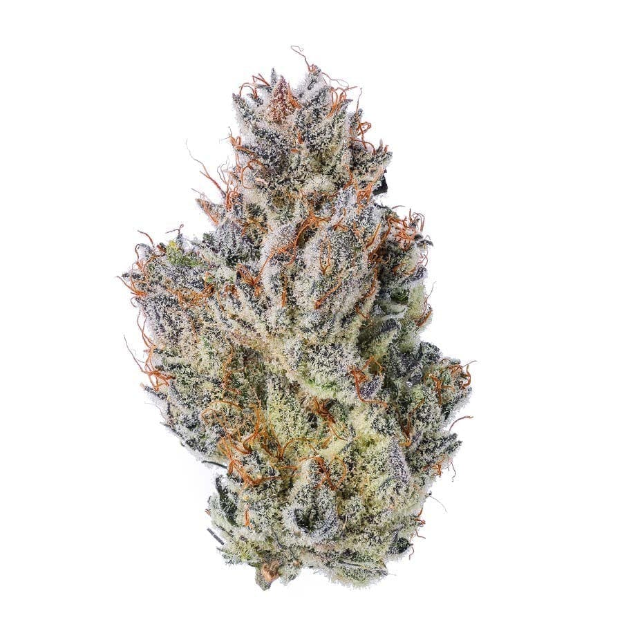 Blue Chip - Acai Sherbert