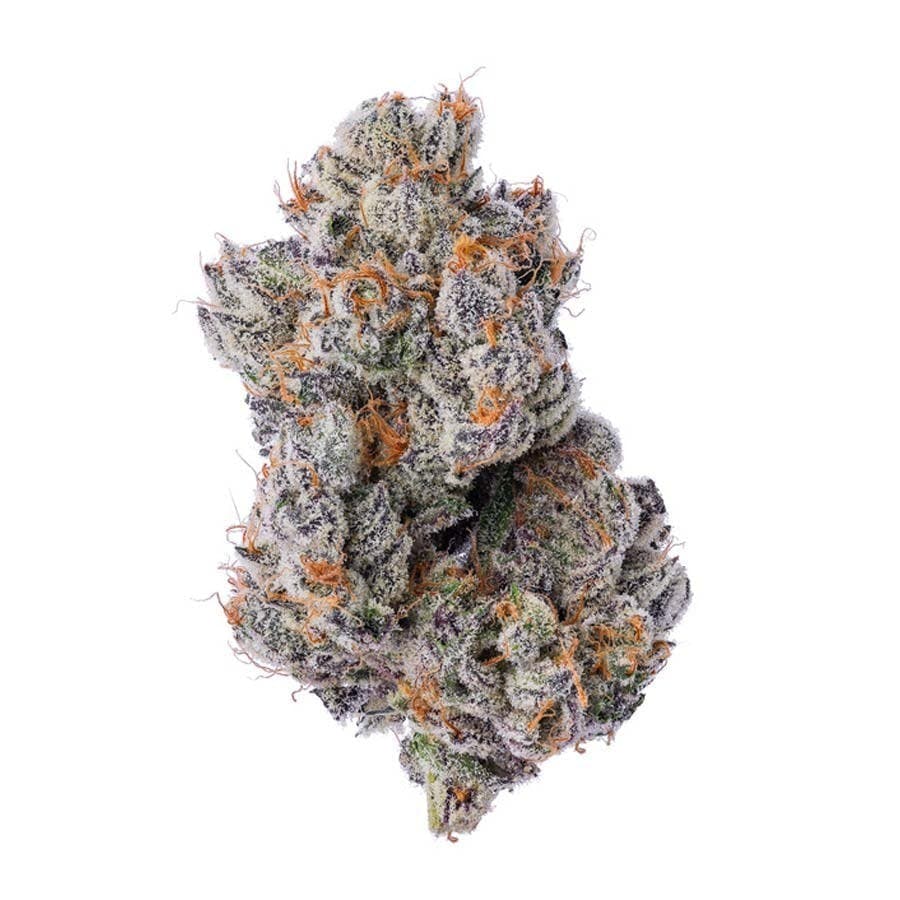 Blue Chip - Purple Zushi