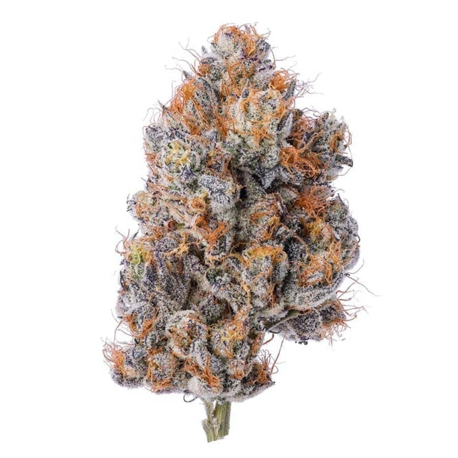 Blue Chip - The Doap
