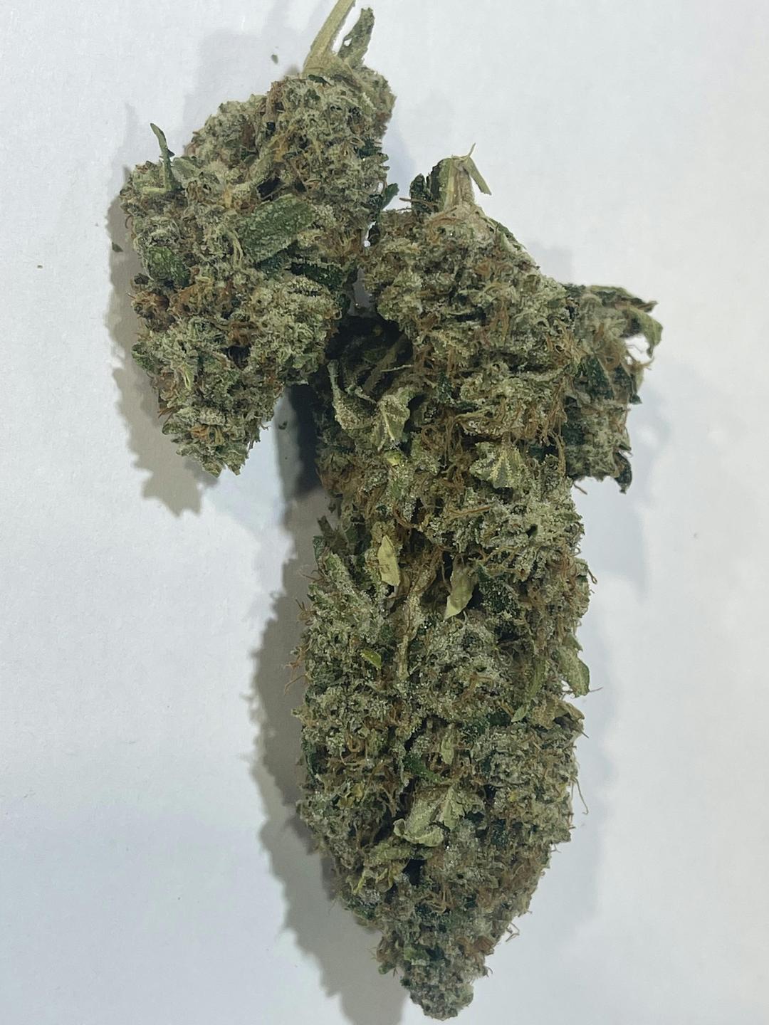 SFV OG (SAN FERNANDO VALLEY OG) - 1g Flower