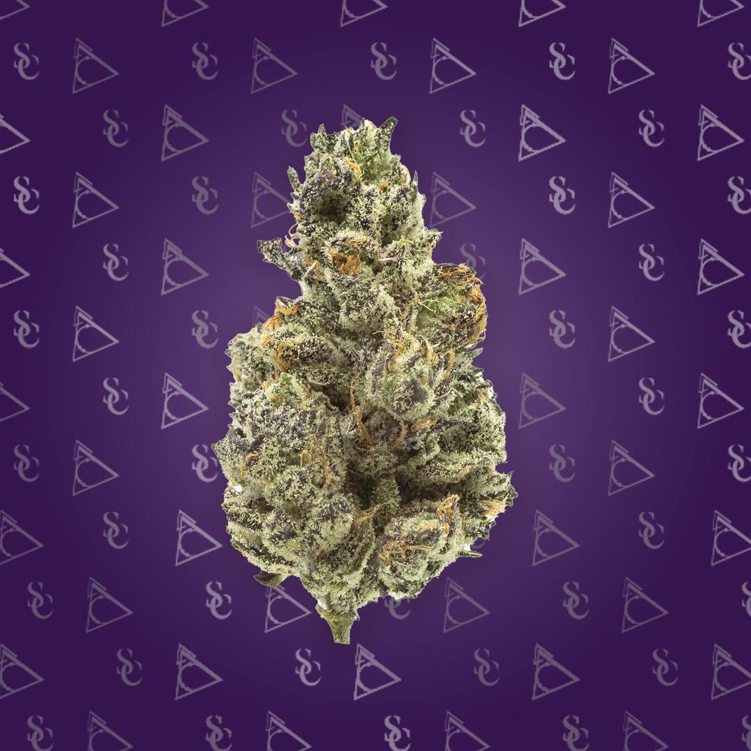 Society C - White Truffle