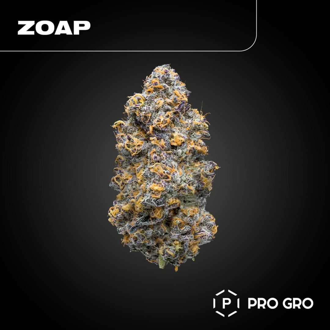 Zoap