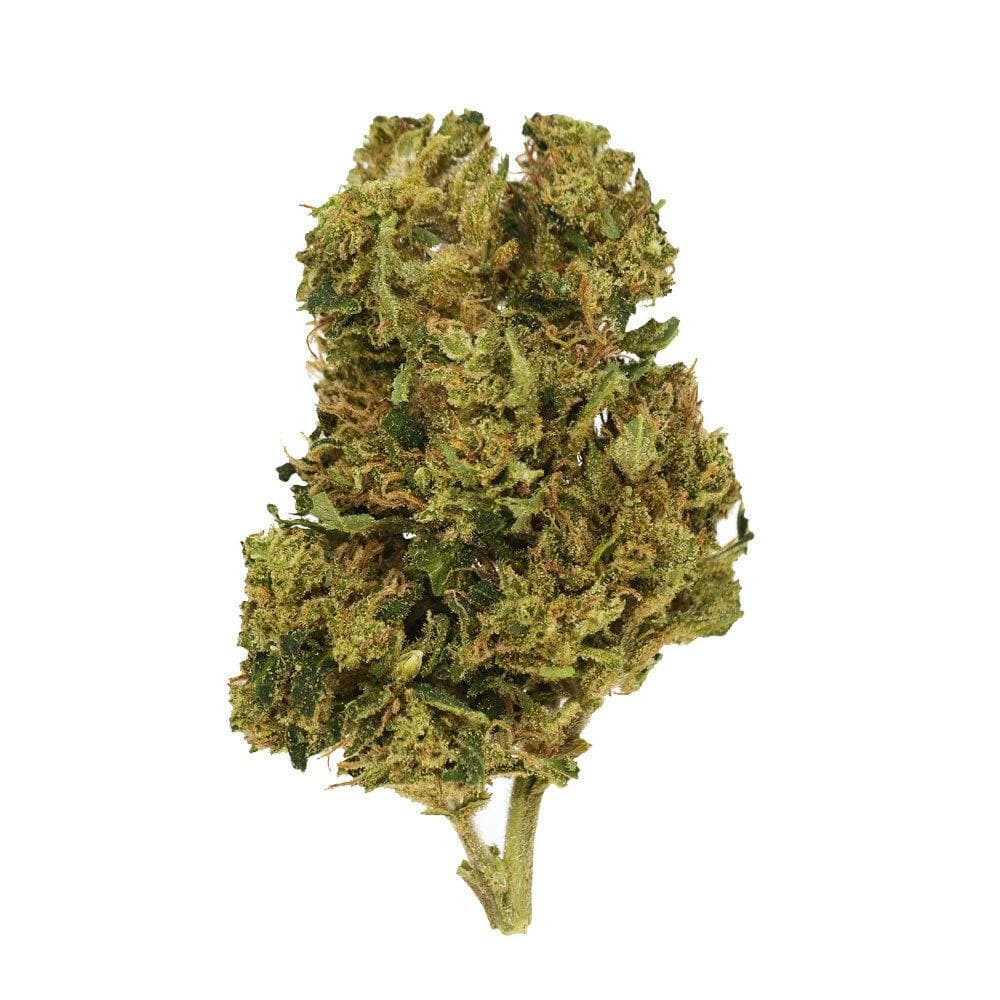 Eighthz - Colombian Starfighter (S) - 3.5g