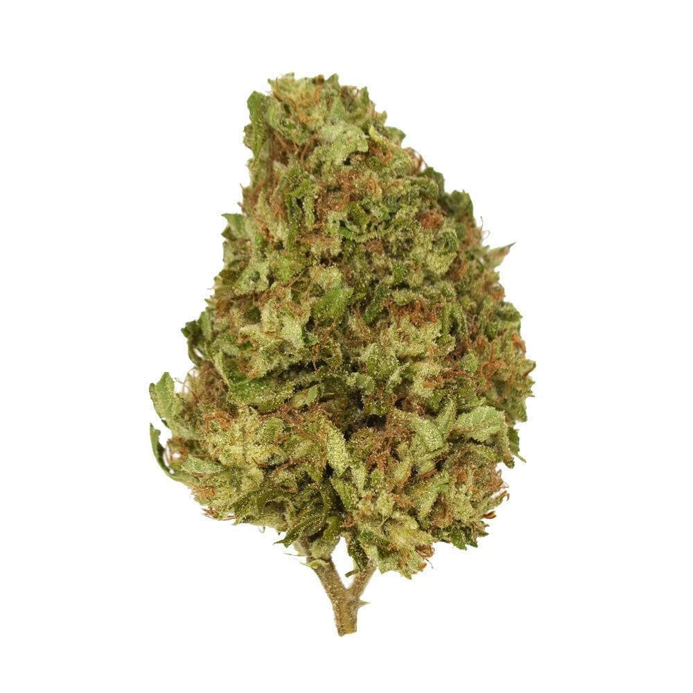Xclusivez - Wappa (H) - 28g