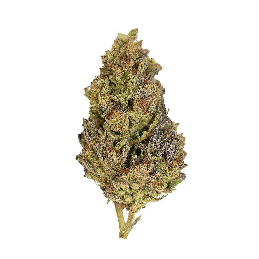 Exotix - Banana Runtz (H) - 14g