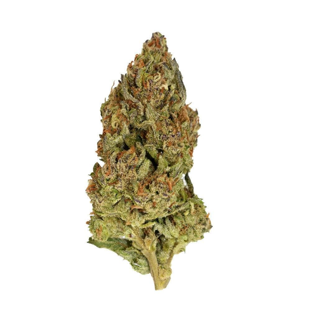 Eighthz - Alaskan Ice (H) - 3.5g