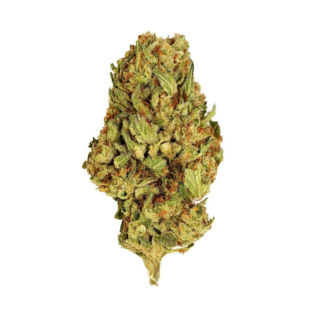 Black - Black Cherry Gelato (I) - 3.5g