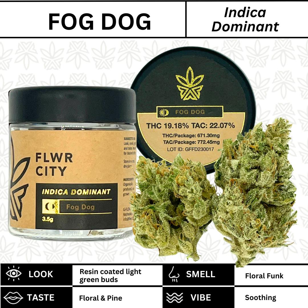Fog Dog - 3.5g Jar Flower