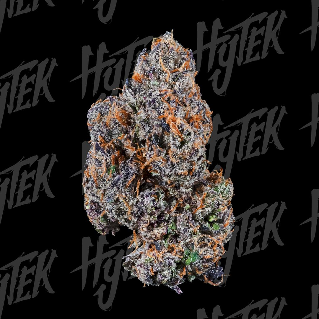 HYTEK | PINK RUNTZ | BULK DELI FLOWER