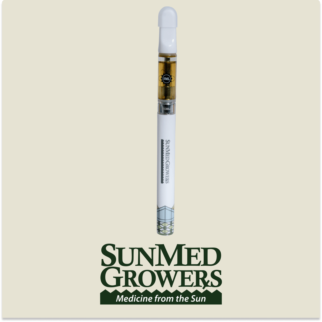 Pumpkin Pie Disposable 0.5g