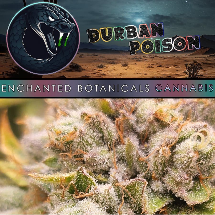 Enchanted Botanicals - Durban Poison
