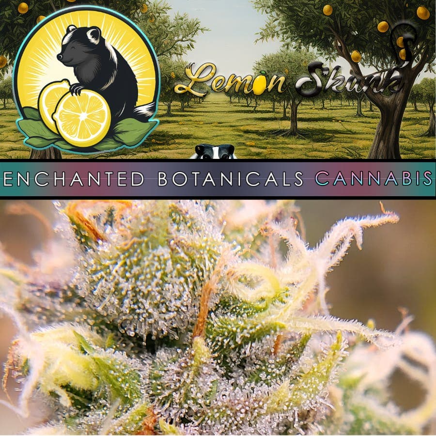 Enchanted Botanicals - Lemon Skunk