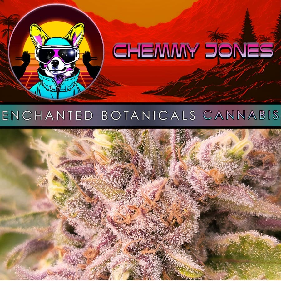 Enchanted Botanicals - Chemmy Jones
