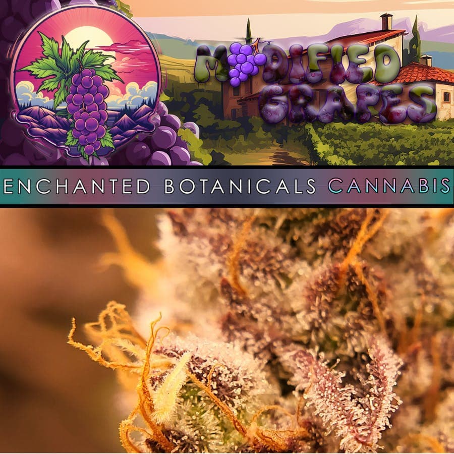 Enchanted Botanicals - Modified Grapes